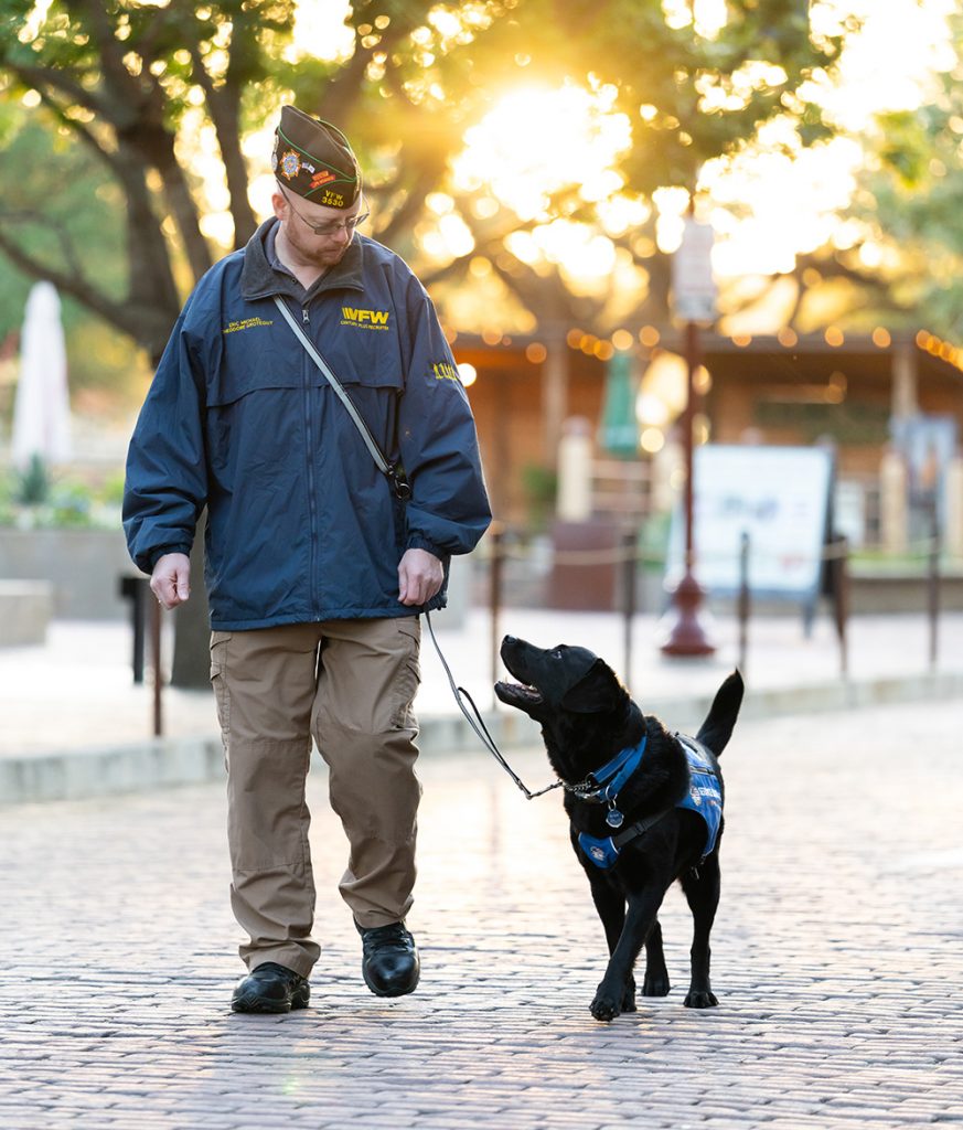 Specially trained service dogs offer emotional support and assist with PTSD symptoms, creating a calming presence in high-stress situations.
